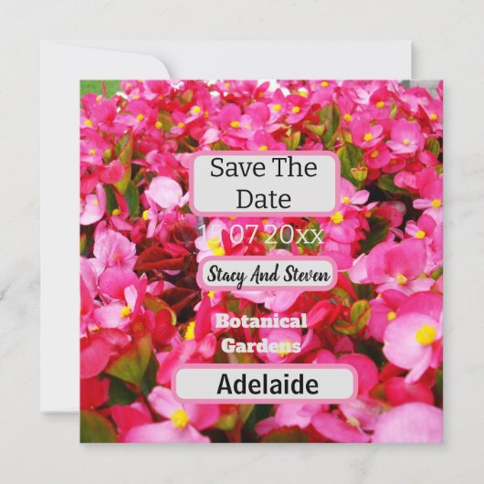 Heet Roze Begonia Bloemen Bewaar de datum, Save The Date (Voorkant)