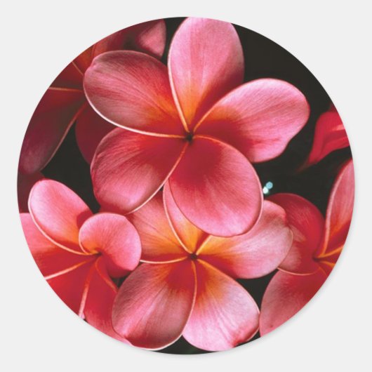 Heet roze bijpassende Flowered Envelope seal stick Ronde Sticker (Voorkant)