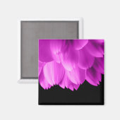 Heet roze bloemblaadjes op zwart magneet (Voorkant / Achterkant)