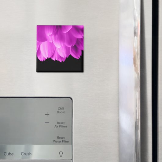 Heet roze bloemblaadjes op zwart magneet (Insitu (Koelkast))