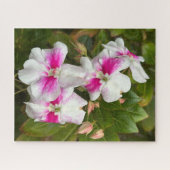 Heet Roze Camellia, San Francisco Legpuzzel (Horizontaal)