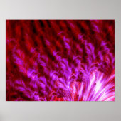 Heet Roze Firewall Poster (Voorkant)
