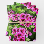 Heet Roze Geranium Bloem Struik, Gift Wrap Sheets, Inpakpapier Vel (In situ)