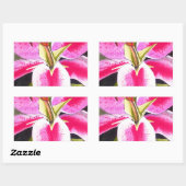 Heet roze lib Tenerife pop art waterverf Rechthoekige Sticker (Vel)