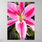 Heet Roze lily waterverf pop kunst schilderij Poster (Voorkant)