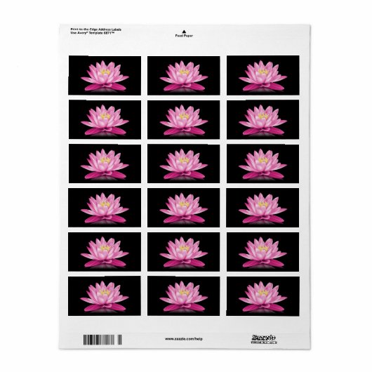 Heet roze lotusbloem etiket (Full Sheet)