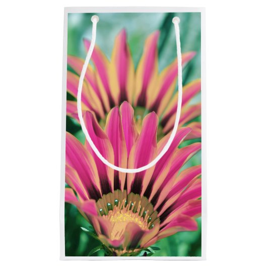 Heet Roze Madeliefjesbloemblaadjes Klein Cadeauzakje (Voorkant)