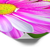 Heet Roze Margrieten En Groene Mums Poster (Hoek)