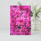 Heet Roze Mums Bloemen Foto Save the Date Kaart (Staand voorkant)