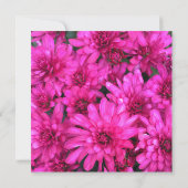 Heet Roze Mums Foto Bruiloft Kaart (Achterkant)