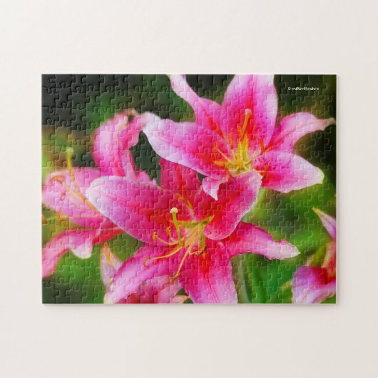 Heet Roze Olympische Fakkellelies Legpuzzel (Horizontaal)