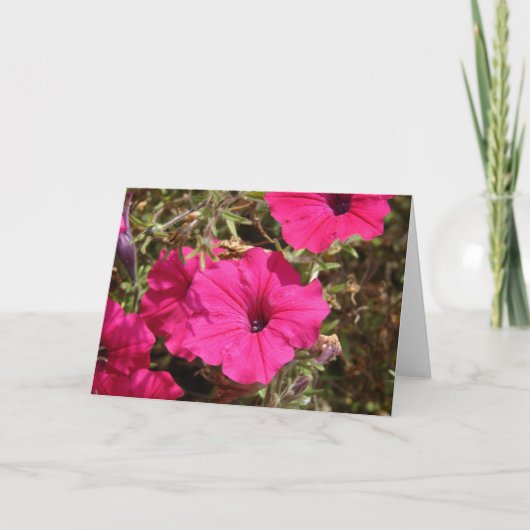 Heet roze petunia bloem kaart (Voorkant)