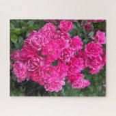 Heet Roze Polyantha Roos, Oakland Legpuzzel (Horizontaal)