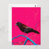Heet Roze Raven Crow Briefkaart (Voorkant / Achterkant)