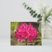 Heet Roze Rhododendron Bloemen Briefkaarten (Staand voorkant)