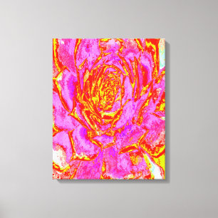 Heet roze, rode en gele succulente Sedum rozet Canvas Afdruk