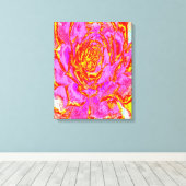 Heet roze, rode en gele succulente Sedum rozet Canvas Afdruk (Insitu (Houten vloer))