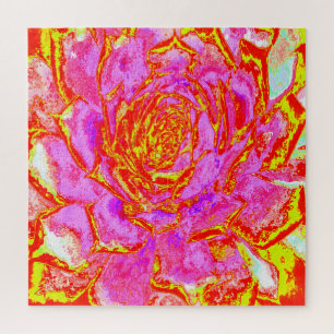 Heet roze, rode en gele succulente Sedum rozet Legpuzzel