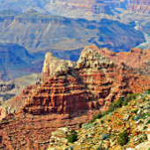 Heet Roze Roos op Zwart Stropdas