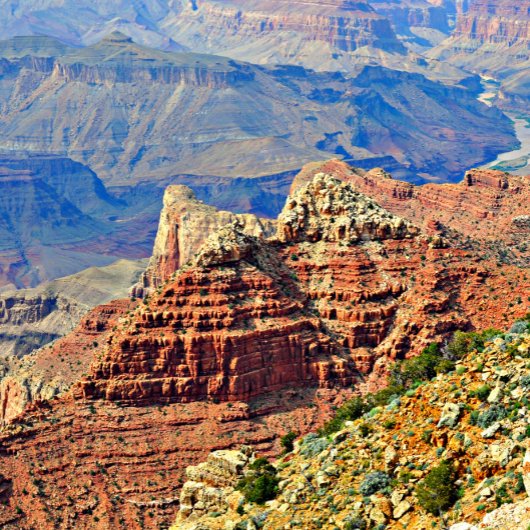 Heet Roze Roos op Zwart Stropdas