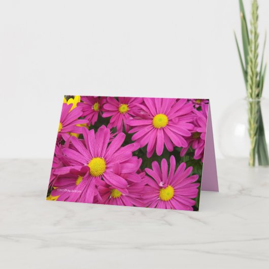 Heet roze roze kaart (Voorkant)