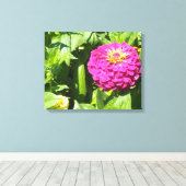 Heet Roze Zinnia Canvas Afdruk (Insitu (Houten vloer))