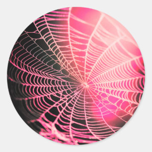 Heet Roze Zwarte Griezelenge Spinnenweb Ronde Sticker