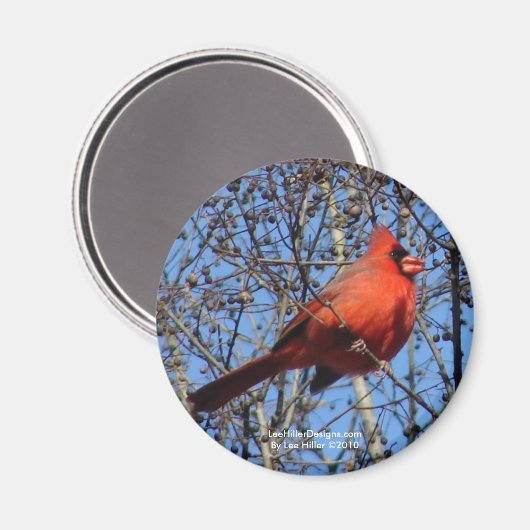 Heet Springs Mountain Promenade Kardinaal Gifts Magneet (Voorkant / Achterkant)