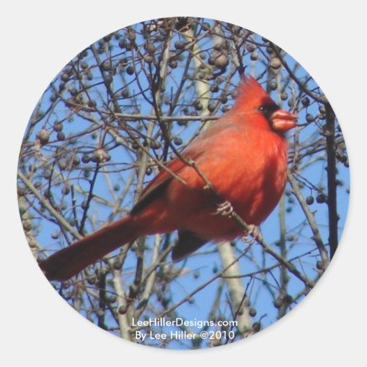 Heet Springs Mountain Promenade Kardinaal Gifts Ronde Sticker (Voorkant)