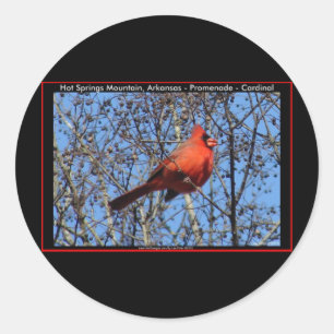 Heet Springs Mountain Promenade Kardinaal Gifts Ronde Sticker
