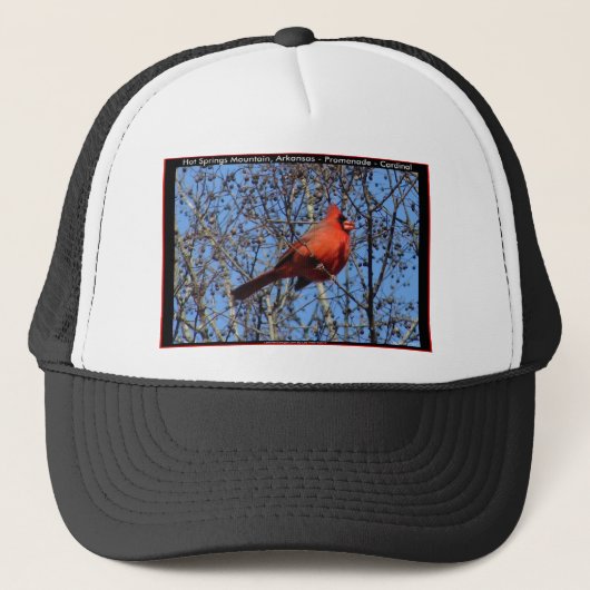 Heet Springs Mountain Promenade Kardinaal Gifts Trucker Pet (Voorkant)