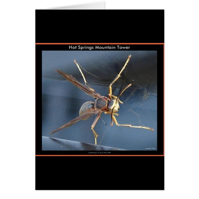 Heet Springs Mountain Wasp Gift & Aparel (Voorkant)