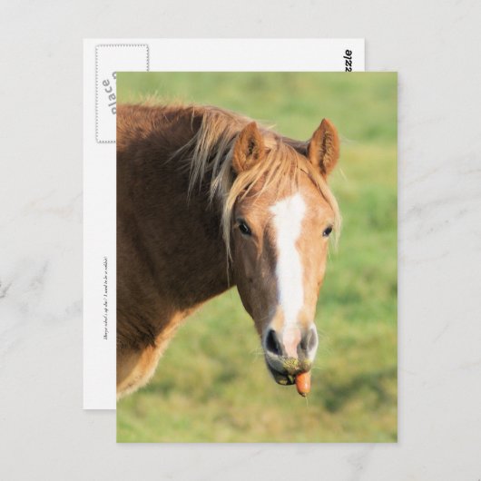 Heeya, wat is er in doc? briefkaart (Voorkant / Achterkant)