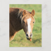 Heeya, wat is er in doc? briefkaart (Voorkant)