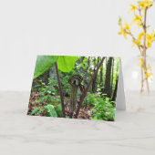 Hefboom-in-de-preekstoel Wenskaart, Spatie binnen Kaart (Gele Bloem)