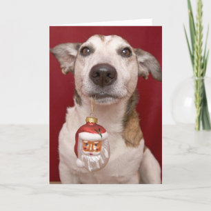 Hefboom Russell Terrier Holding Christmas Ornament Feestdagen Kaart