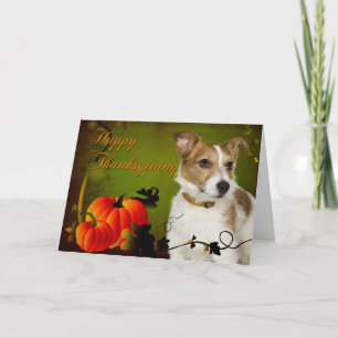 Hefboom Russell Terrier Thanksgiving Card Feestdagen Kaart