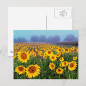 Hefkistschuif, briefkaart (Voorkant / Achterkant)