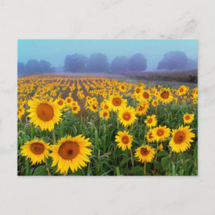 Hefkistschuif, briefkaart