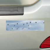 Hefschroefvliegtuigen Bumpersticker (Op auto)