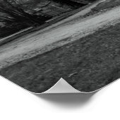 HEGELER CARUS MANSION - GILDED AGE POSTER (Hoek)