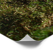 HeHuan Mountain, Taroko National Park, Taiwan © Poster (Hoek)