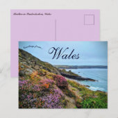 Heide in Pembrokeshire Wales Briefkaart (Voorkant / Achterkant)