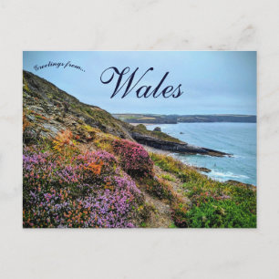 Heide in Pembrokeshire Wales Briefkaart