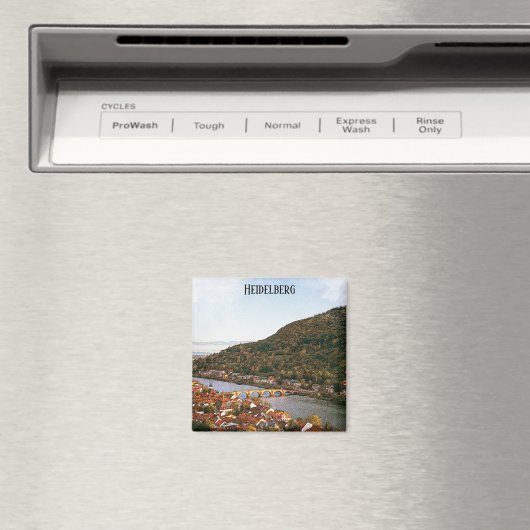 Heidelberg Duitsland Stadsdeel Uitzicht Magneet (Insitu (Vaatwasser))
