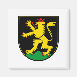 Heidelberg stads vlag embleem Duitsland symbool Magneet