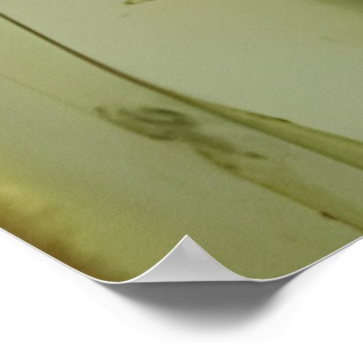 heidense vrouw schilderij poster (Hoek)