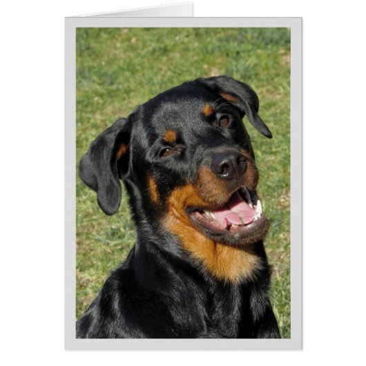 Heidi Cute Rottweiler Blank Wenskaart (Voorkant)