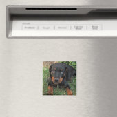 Heidi Guilt Puppy Magnet (Insitu (Vaatwasser))