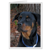 Heidi Rottweiler Blank Wenskaart (Voorkant)